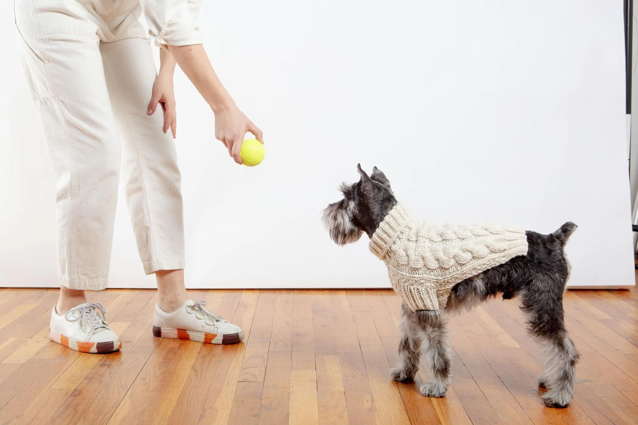 Downtown Roll Neck Dog Sweater in Natural