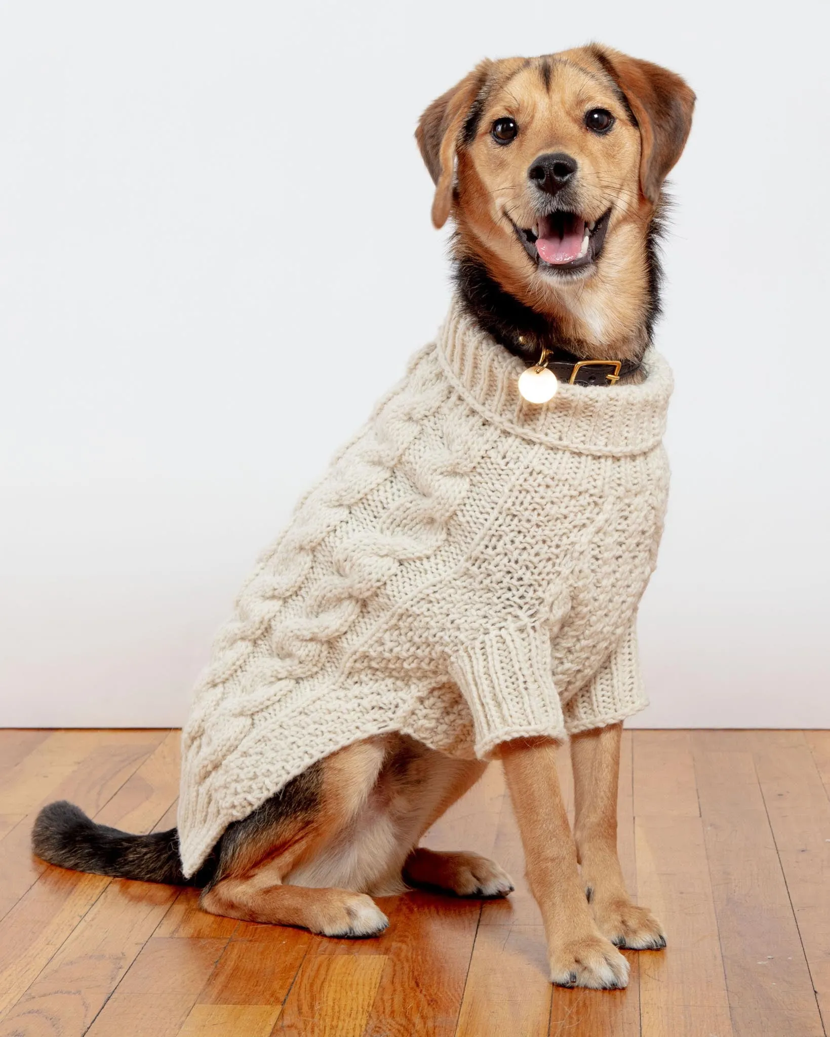 Downtown Roll Neck Dog Sweater in Natural