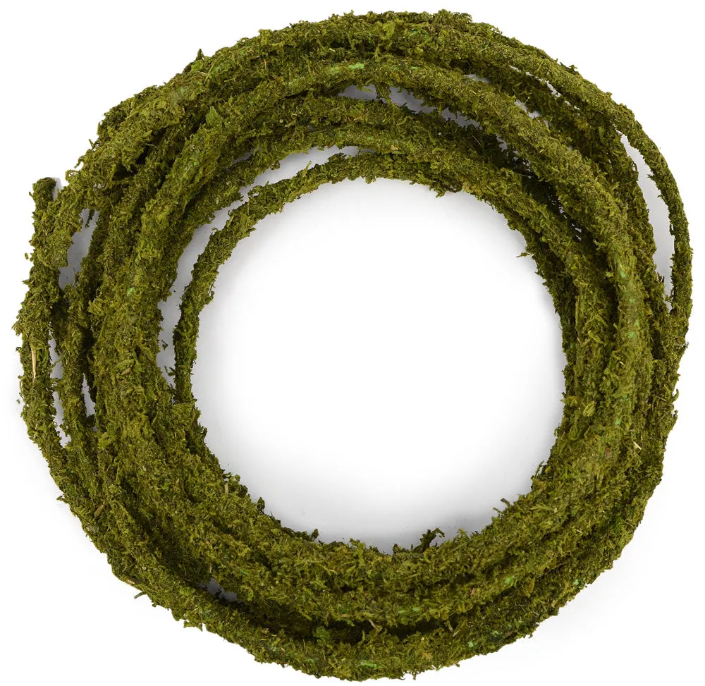 Moss Rope Garland: 25 ft