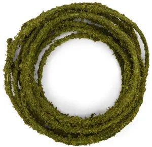 Moss Rope Garland: 25 ft
