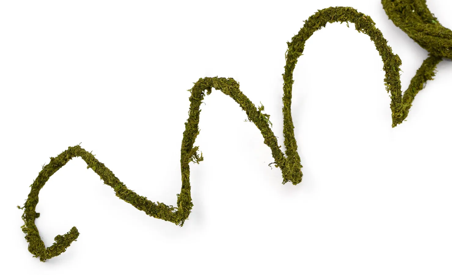 Moss Rope Garland: 25 ft