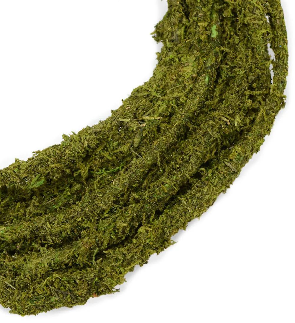 Moss Rope Garland: 25 ft
